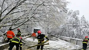 Din cauza ninsorii, un copac a căzut pe un microbuz. Şoferul şi pasagerii au reuşit să se salveze