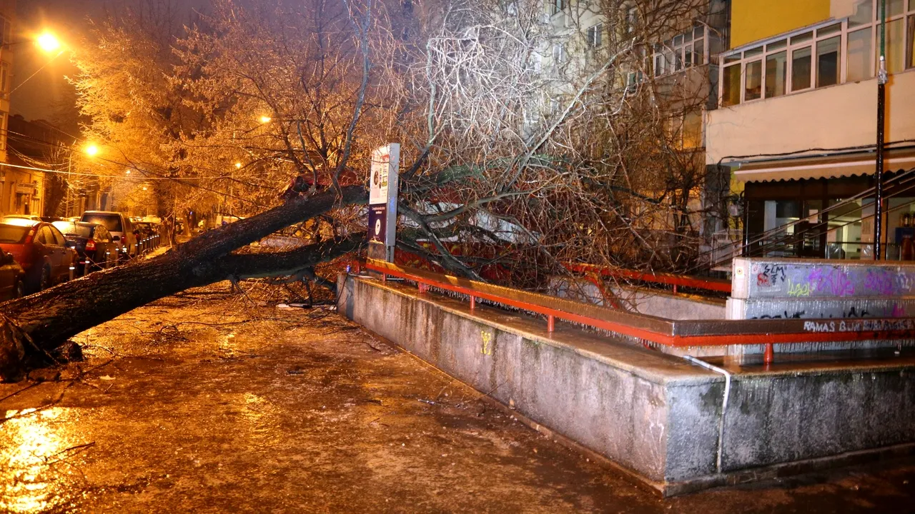 Pagube provocate de polei şi vânt în Capitală: 49 de maşini avariate şi 90 de copaci, doborâţi pe carosabil/ Tramvai prins între doi copaci căzuţi | FOTO