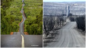 Dimensiunea dezastrului de pe Insula Cangurilor din Australia. Imagini înainte şi după incendiu