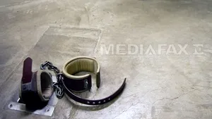 Jumătate dintre americani cred că tortura este justificată