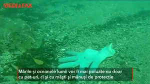 Echipamentele de protecţie împotriva coronaviruslui sufocă mările şi oceanele: 