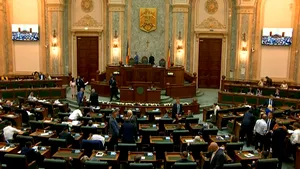 Componenţa Biroului permanent al Senatului nu se schimbă după desfiinţarea grupului ALDE