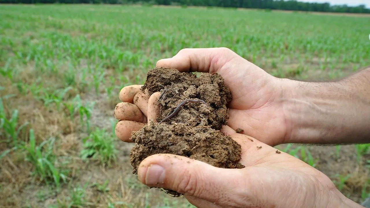 Valorificarea puterii naturii cu soluţii biologice pentru o agricultură durabilă