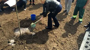 În Capitală a fost inaugurat „Parcul 100 de stejari”, dedicat şi Centenarului