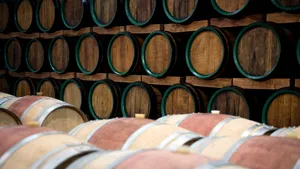 Descoperire la Cluj. Ce au găsit muncitorii sub un garaj demolat