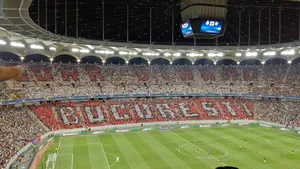 Situaţie umilitoare pentru Steaua, la meciul cu City. Cum a apărut mesajul 