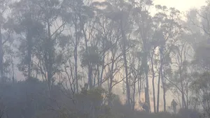 Incendiile din Australia ar putea afecta toată planeta. Anunţul făcut de NASA: cum se poate schimba atmosfera