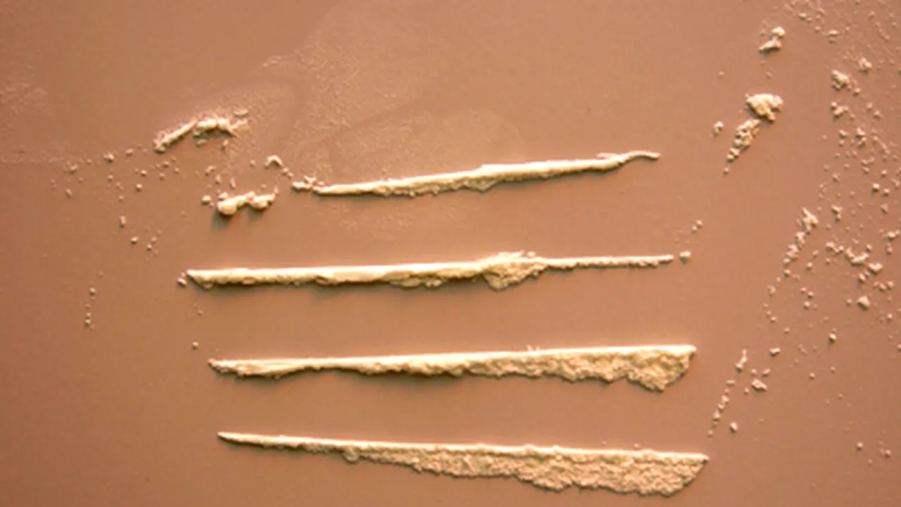 Cocaina schimbă modul de funcţionare al genelor