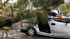 Un cetăţean român a murit şi o femeie a fost rănită în Malta, după ce un copac a căzut peste maşina în care se aflau/ MAE: Starea rănitului este stabilă - FOTO