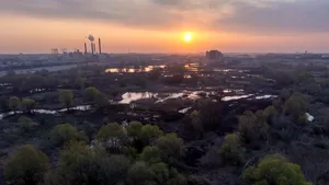 Acţiune de ecologizare, sâmbătă, în Delta Văcăreşti