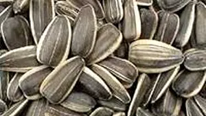 Brandul Nutline a fost preluat de nemţi