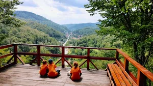 Three villages in Arad County have become specialized villages
