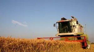 Reuters: Recolta din 2008 ar putea încetini avansul preţurilor în România