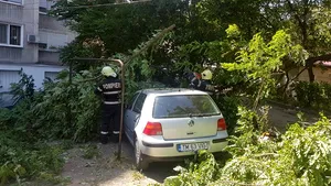 Cod galben de vânt până la ora 12, în judeţul Sibiu