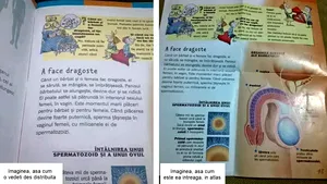FOTO | Cum au fost fraieriţi românii cu un FAKE NEWS despre educaţia sexuală