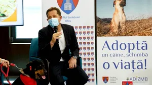 Consiliul Judeţean Ilfov lucrează la mai multe proiecte privind combaterea abandonului animalelor 