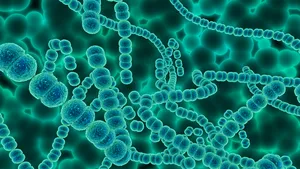 SOCIAL Toate probele de apă de la Spitalul de Copii Iași arată clor sub limita minimă pentru distrugerea bacteriei Pseudomonas