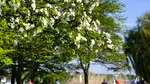 Prognoza meteo pentru următoarele patru săptămâni: Temperaturi mai ridicate decât cele normale