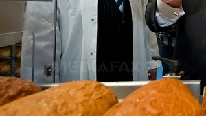 Taxarea inversă la pâine, fructe şi carne se aplică la 10 zile de la aprobarea derogării de către UE