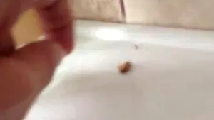 Ploieşti: Gândaci filmaţi în baia Spitalului de Pediatrie. Direcţia de Sănătate Publică face verificări - VIDEO