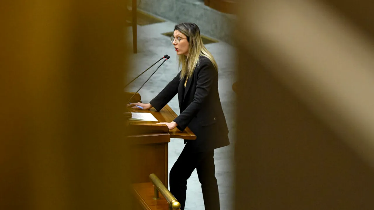 Stejar de 150 de ani ras de pe fața pământului în pădurea Felix / Diana Buzoianu anunță dosare penale pentru firma de exploatare și pentru presupuși complici de la Romsilva