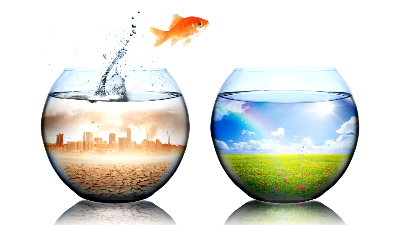 100 de companii, responsabile pentru 71% din emisiile globale cu efect de seră, din '88 până azi / Temperaturile medii ar putea creşte cu 4 grade Celsius până la finalul secolului, specii de animale vor dispărea