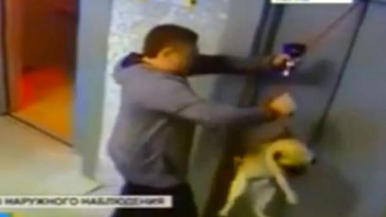 SALVARE miraculoasă: Cum a trecut pe lângă o tragedie un căţel norocos - VIDEO
