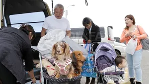 Japonia: Zeci de evacuări pe insula Oshima, în aşteptarea unui nou taifun