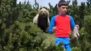 VIDEO. Un copil de 12 ani a fost urmărit de un urs brun, la câţiva metri distanţă, în munţi. Reacţia neaşteptată care l-a salvat de la atac