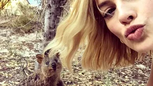 Cum au salvat selfie-urile”cel mai fericit animal din lume”aducând turişti într-o insulă australiană | FOTO
