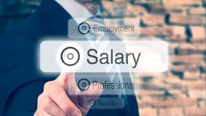 Câştigul salarial mediu net, 2.484 lei în ianuarie. Domeniul unde salariile au trecut de 6000 de lei pe lună şi sectorul cu cele mai importante creşteri   