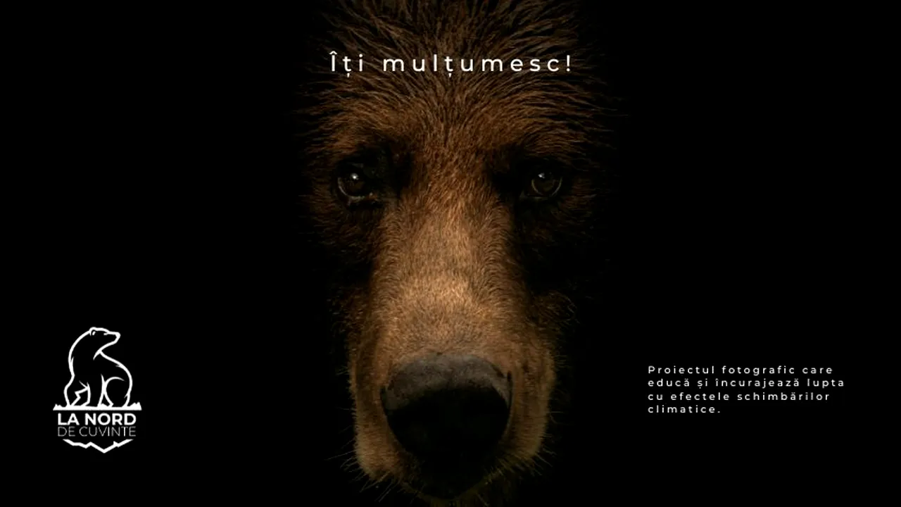 „La NORD de cuvinte”, primul demers al unui fotograf român de a documenta artistic natura şi viaţa sălbatică de lângă Polul Nord
