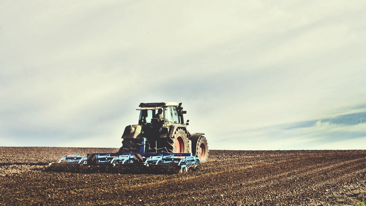 Lipsa zăpezii şi a precipitaţiilor ar putea reduce drastic producţia agricolă în 2020