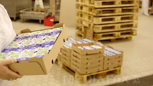 Producătorul de lactate Tnuva România a cerut falimentul şi a avut marţi primul termen în instanţă