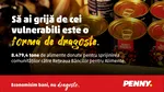 PENNY lansează studiul de caz: Transformarea surplusului alimentar în impact social și de mediu măsurabil