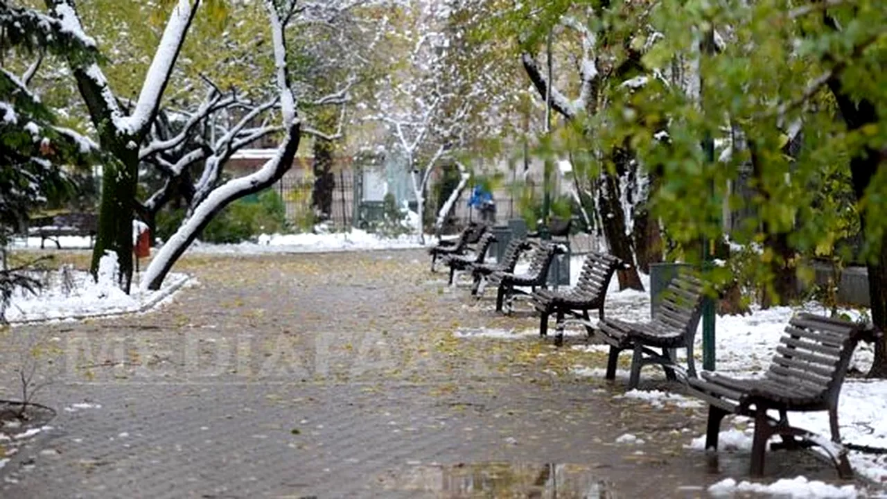 VREMEA până pe 26 ianuarie. PROGNOZA METEO pentru fiecare regiune a ţării
