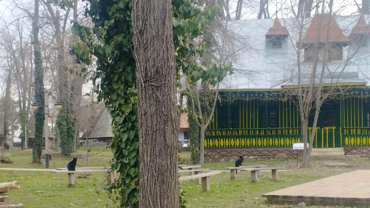 Muzeul Satului trece la orarul de vară. Ce program are de Paște și în ce zile este închis