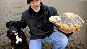 Vomă de balenă, în valoare de 50.000 de euro. Cine e norocosul care s-a îmbogăţit pe seama 