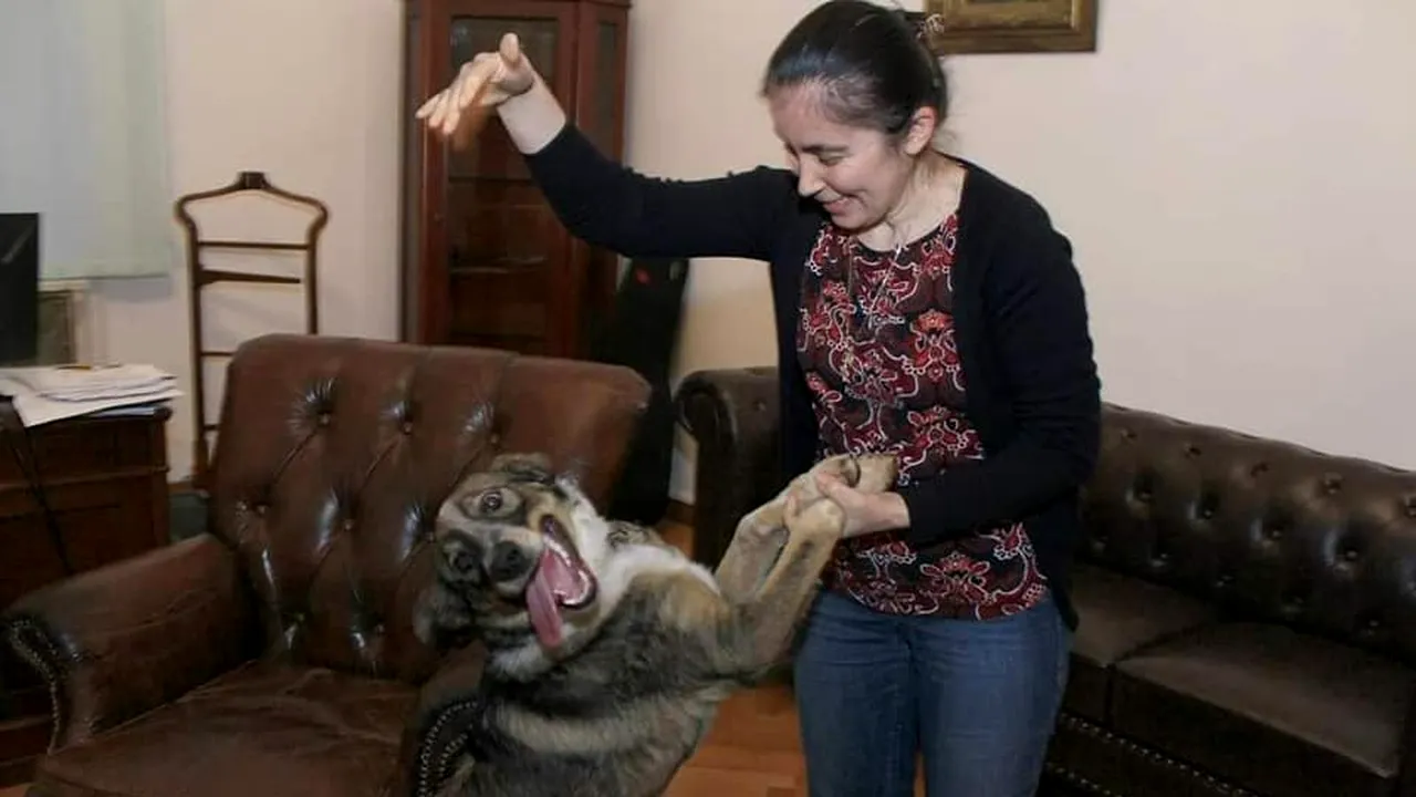 Ce s-a întâmplat cu Toby, câinele de la sediul PNL?. Orban: 
