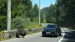Autoritățile au în vedere o taxă de acces pe Transfăgărășan pentru gestionarea traficului și protejarea zonei montane