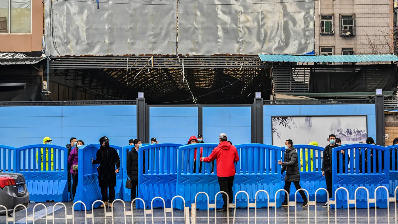 Expert OMS: COVID-19 s-ar fi putut răspândi în piaţa de fructe din Wuhan, dar originea ar putea fi şi în altă parte
