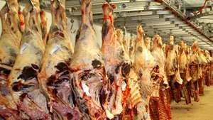 Târgovişte: Carne de porc contaminată cu dioxină, oprită de la comercializare