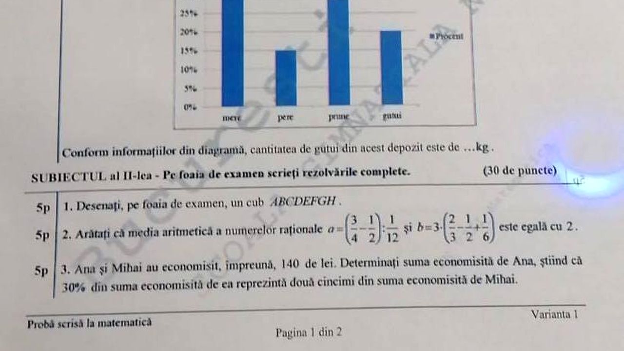 Poza 1