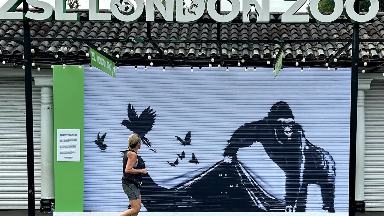 Opera lui Bansky, îndepărtată de la grădina zoologică din Londra