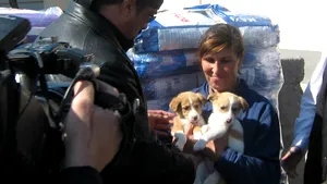 Steven Seagal a mai adoptat la distanţă doi căţei din adăpostul Dogtown - FOTO