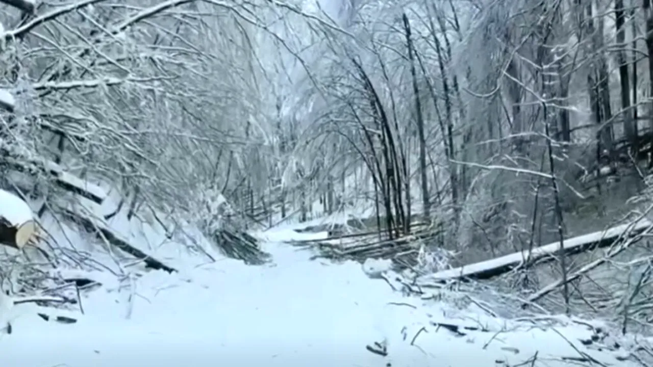 Romsilva anunță intervenții în Caraș-Severin pentru deblocarea drumurilor afectate de ninsori