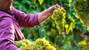 Noi situri incluse în Patrimoniul Mondial UNESCO: Colinele Prosecco şi oraşul antic Babilon