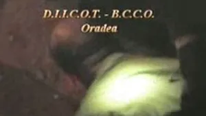 Doi traficanţi de droguri, arestaţi după ce au fost prinşi vânzând 2200 pastile de ecstasy