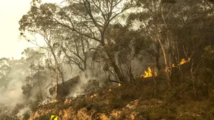 Ministerul Afacerilor Externe a emis o atenţionare de călătorie în Australia, din cauza incendiilor de vegetaţie din zona de vest