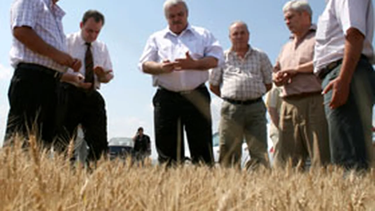 Produsele alimentare autohtone se scumpesc cu 35% din cauza secetei